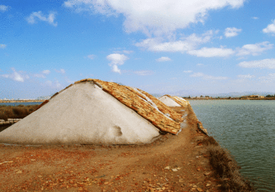 Visita guiada de las salinas de Trapani